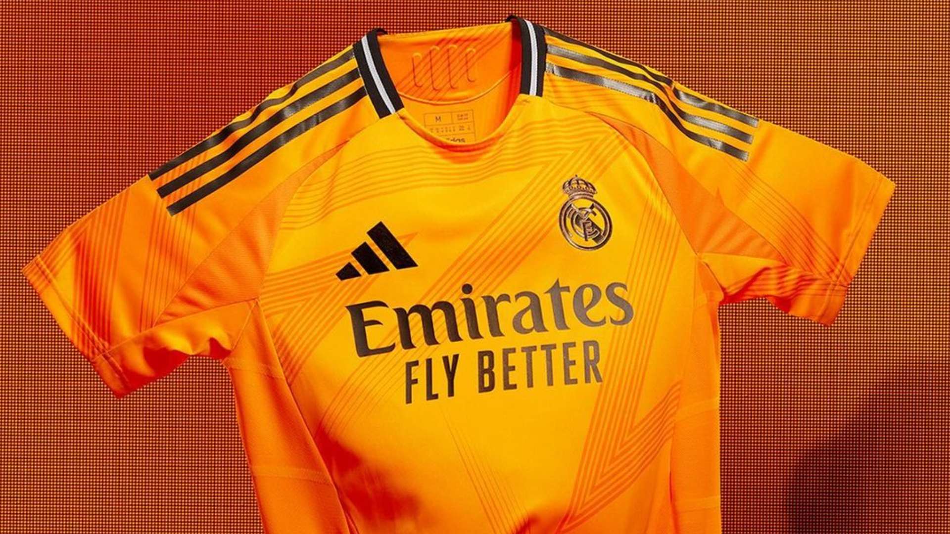 争冠道路上 争冠道路上