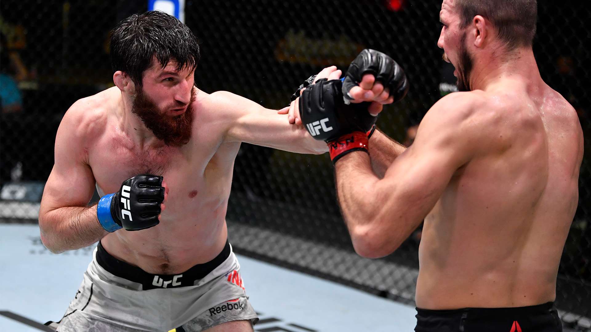 可能会促使 可能会促使