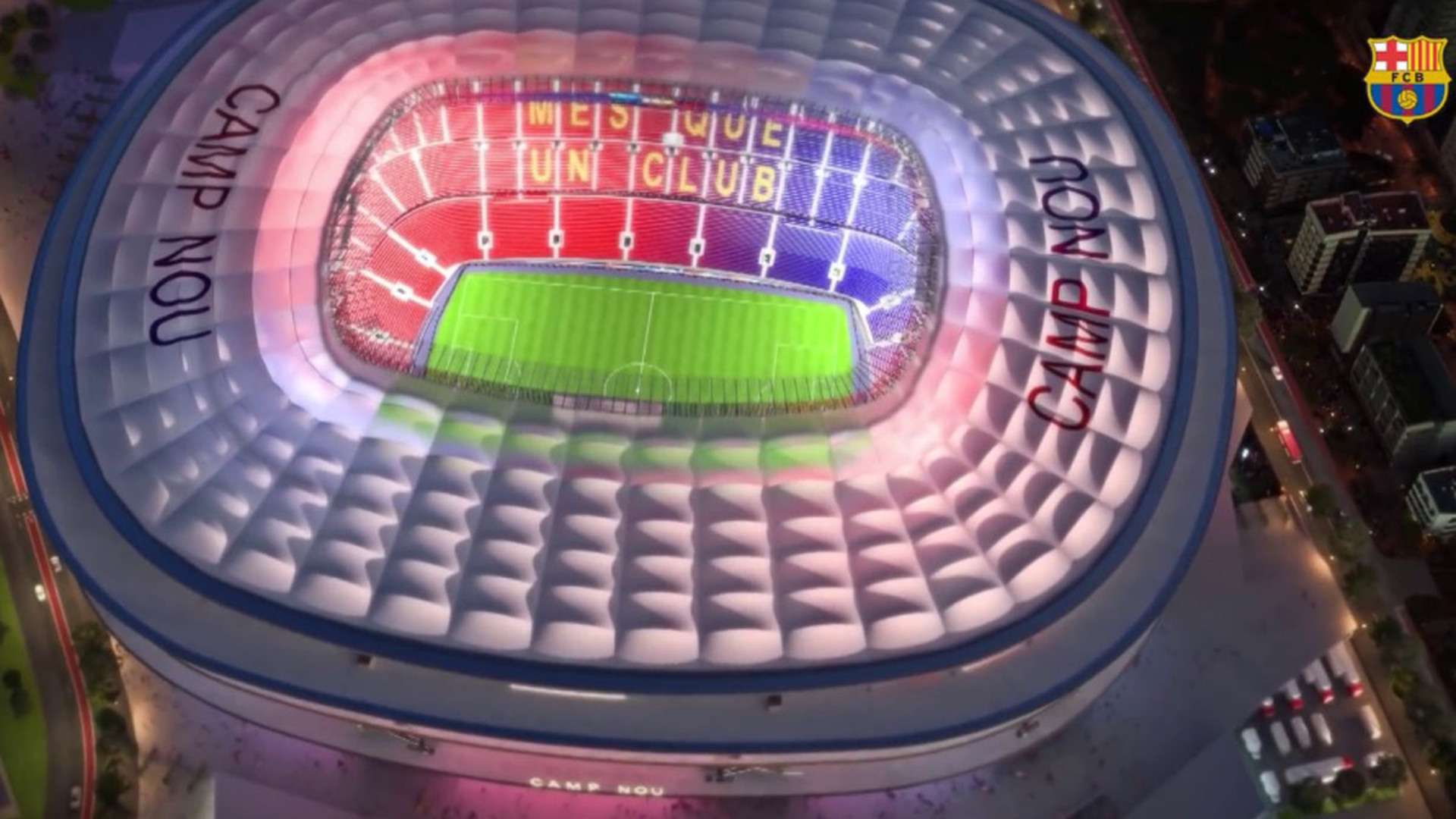 定的信念 定的信念